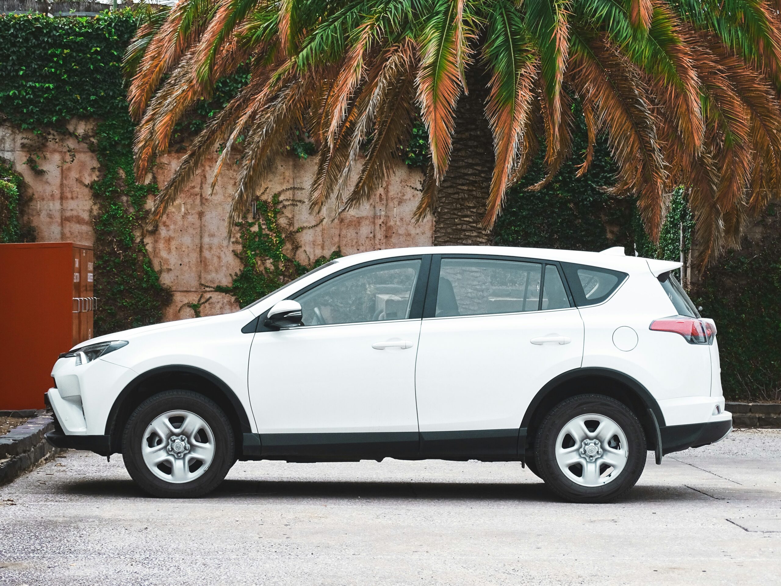 white suv parked near palm tree during daytime